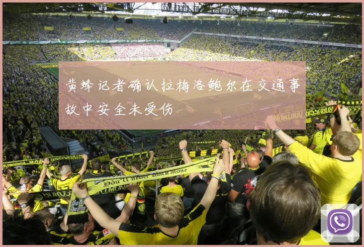 黄蜂记者确认拉梅洛鲍尔在交通事故中安全未受伤