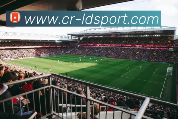 乐动足球品牌故事