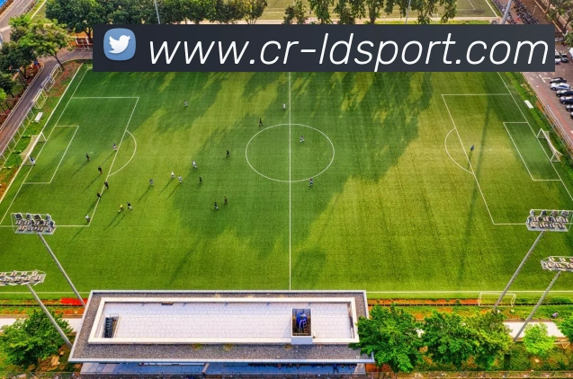 乐动足球服务体系